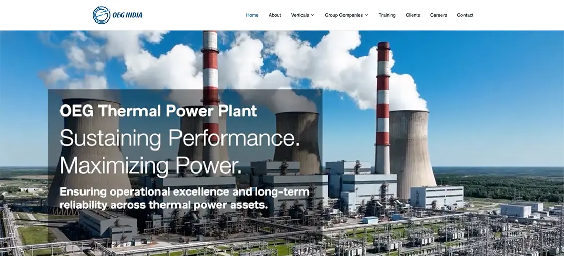 OEG Global website design